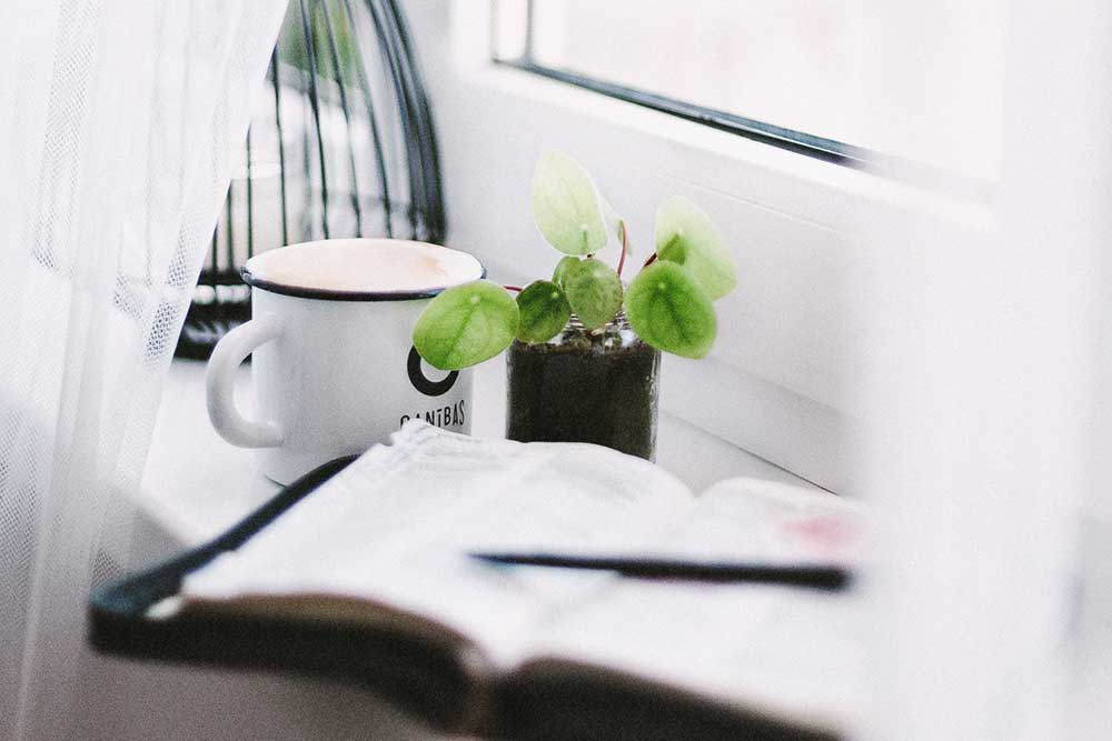 Journal on table with pen cup of coffee and green plant