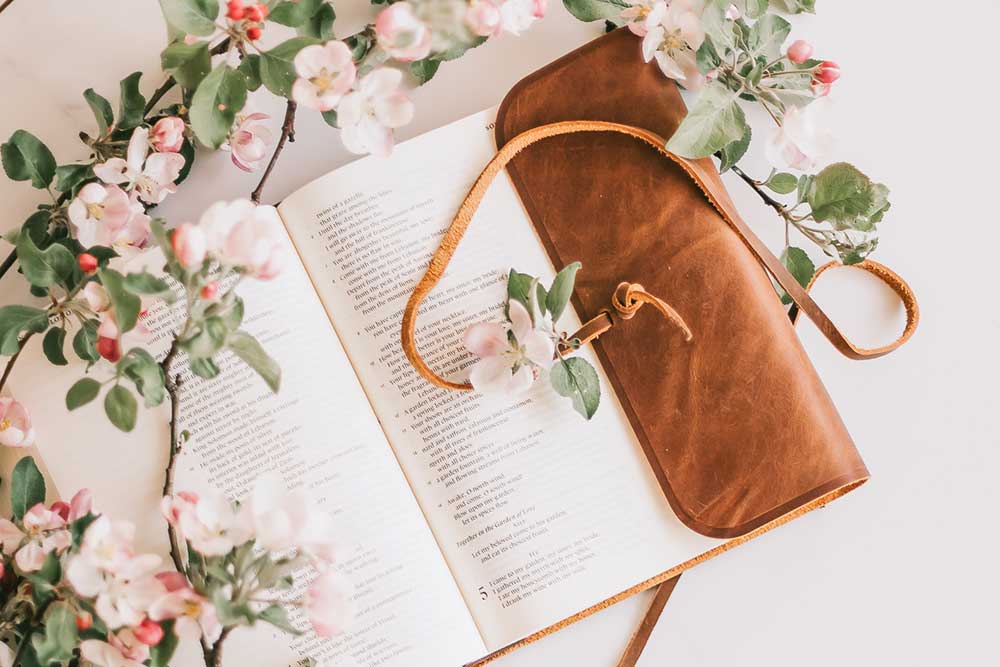Collide blog open Bible with beautiful vine of light pink flowers