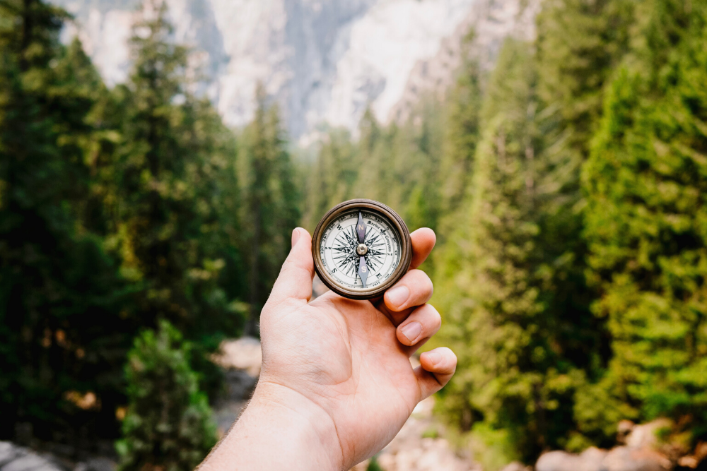 hand holding compass with evergreen trees mountains background