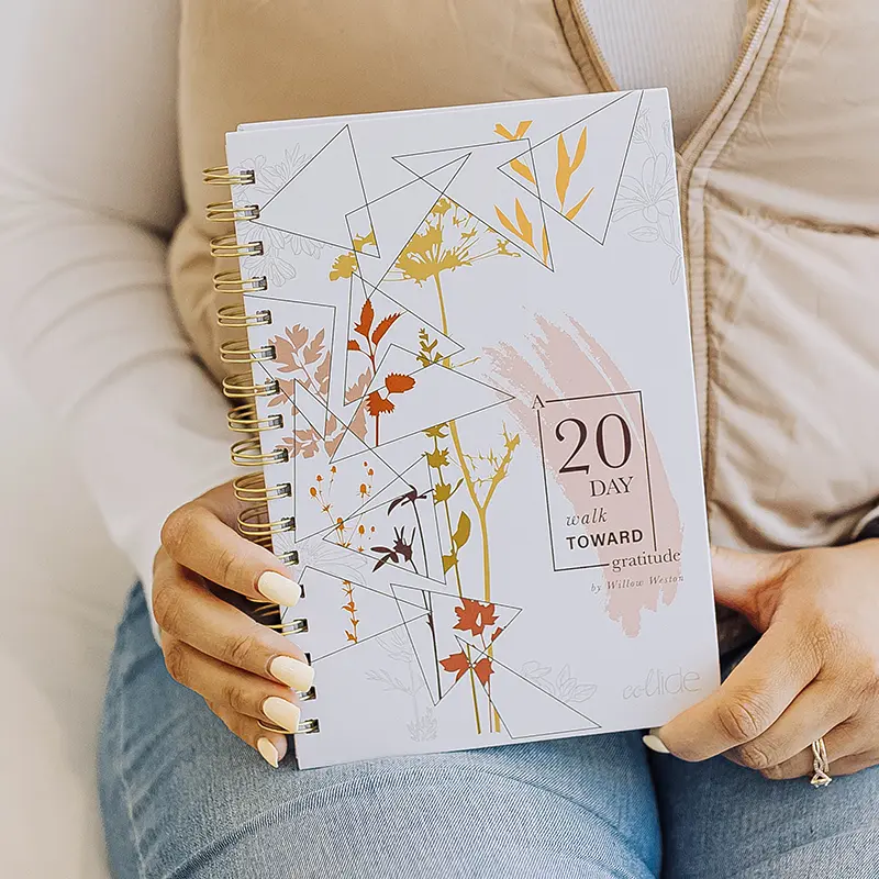 20 Day Walk Towards Gratitude Devotion book cover.