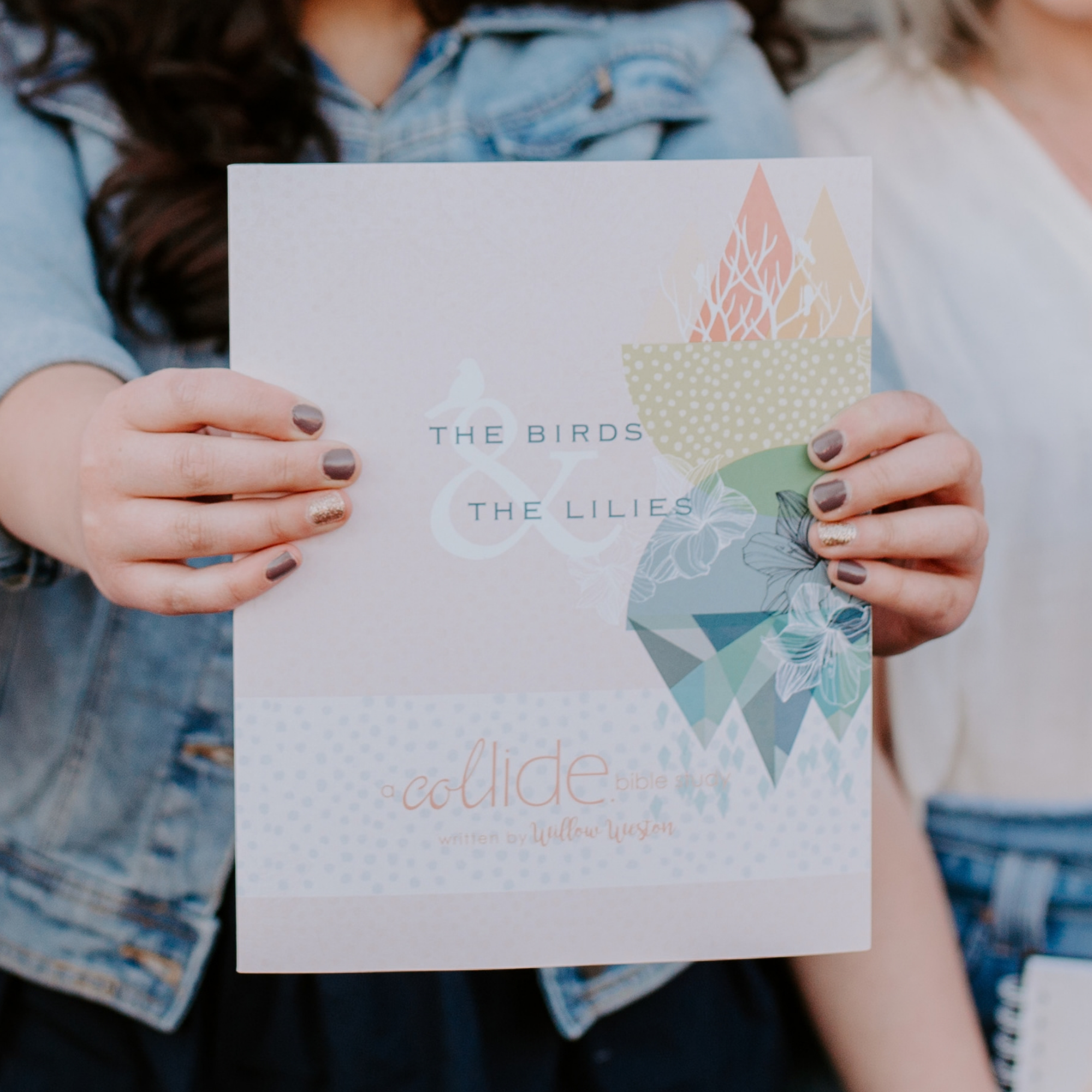 The Birds & Lilies Bible Study Cover